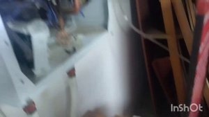 Не греет котёл Proterm skat