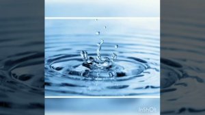 Тірі табиғат және өлі табиғат