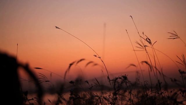 15-minute Christian Sleep Meditation: Manifest and Feel Love