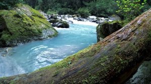 5581999-uhd_3840_2160_30fps