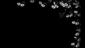 Fallulah - Give us a little love (Lyrics)