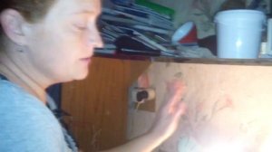 Вывод цыплят из коробки