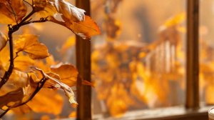 Истории из жизни - Как похудеть, не отказывая себе....