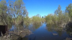 30.04.2024 г река Тобол д.Чёрная Упоровский район