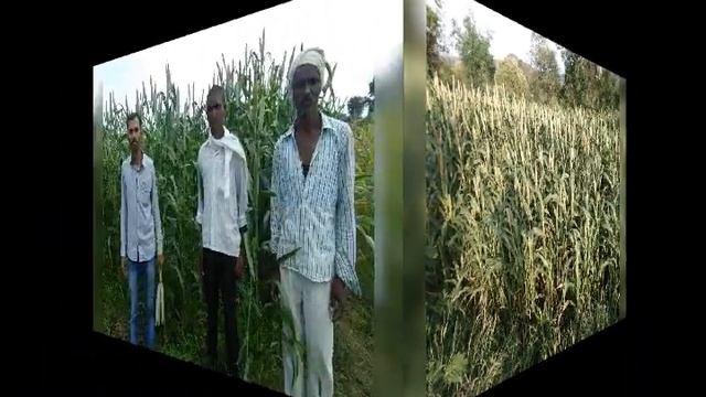 Srikar seeds смотреть онлайн