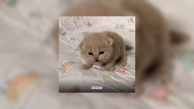 плейлист чтобы призвать японского демона