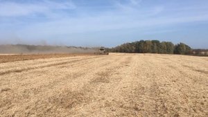 Комбайны New Holland CX840. Уборка урожая 2020.