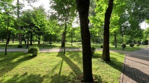 прогулки по центру Ташкента. июнь 2024