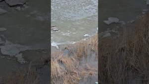 Ледоход на реке Тура, Тюмень. 11 апреля 2024 года.