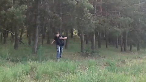 Дын Дын Дын