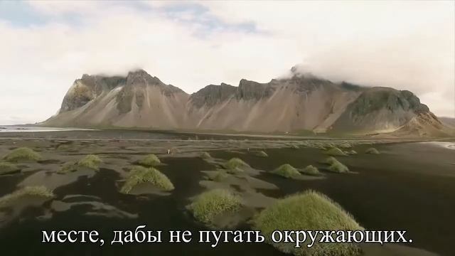 Инструкция для рогоносцев  — Статья