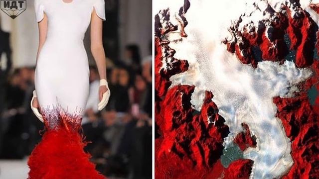 Природа на одежде смотреть онлайн