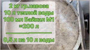 Первая Азотная подкормка для Роз . Как правильно применять гранулированный навоз . #подкормка #розы
