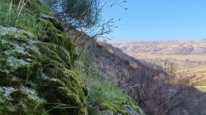 Ущелье Бадамсай. 10.11.2024