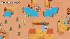 жёский эдит