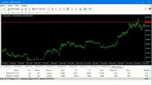 Как форекс брокер RoboForex обманул своих клиентов? RoboForex отбирает деньги честных трейдеров?
