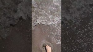 Пляж отель Кристалл Флора Турция Кемер Бельдиби...июль 2021