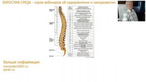 ДОЛГОЛЕТИЕ. Про улыбку, позвоночник, сольфеджио и упражнения для позвоночника и мозга  Часть 1