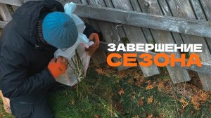 Как мы подготавливали сад к зиме