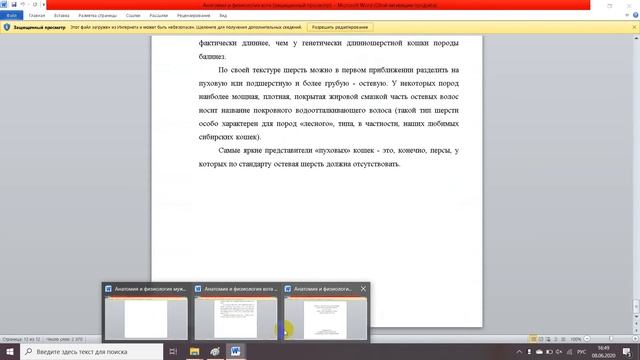 Анатомия и физиология мужской репродуктивной системы смотреть онлайн