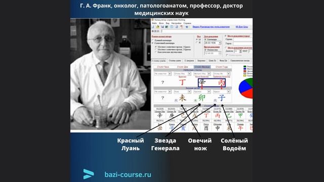 Профессия врача  в карте Бац-зы