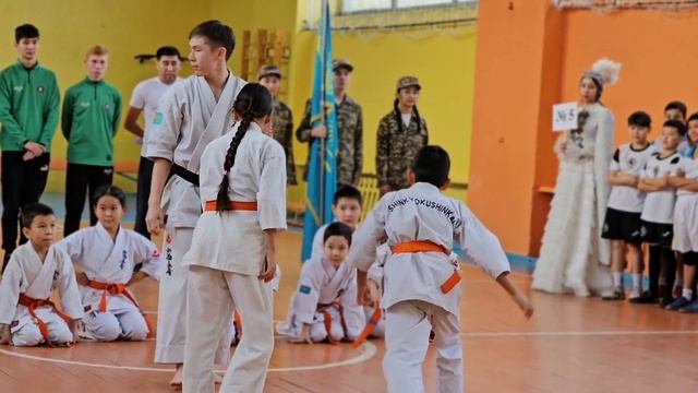 Шинкиокушинкай каратэ