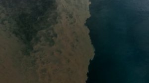 Эласмозавры