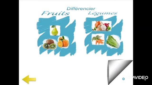 Exercices interactifs réalisés par le logiciel Mediator 9