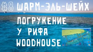 Шарм-аль-Шейх #8 Погружение у рифа Woodhouse