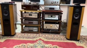 Аристократизм Diatone ds 203