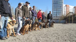 совместная тренировка