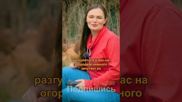 Секрет профессионалов Болезней и вредителей не будет!