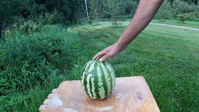 #эксперимент #Кола #Ментос Эксперименты разные эффектом кола фанта спрайт и ментос смотреть онлайн