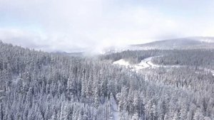 Продольные и поперечные волны