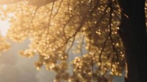 Интересные истории - Прошлое не отпускает...