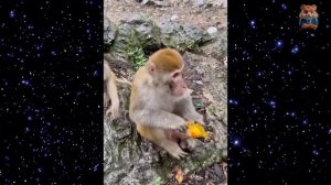 Я РЖАЛ ДО СЛЕЗ😂 15 Минут ОТБОРНЫХ ПРИКОЛОВ 2024 Смешные видео - Лучшие ПРИКОЛЫ #21