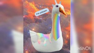 Виды Гуся из блоптоп часть 1. @bloptop