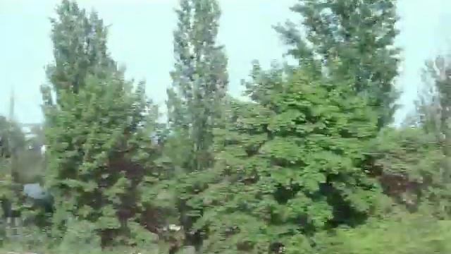 Из окна поезда: станция Триполье-Днепровское
