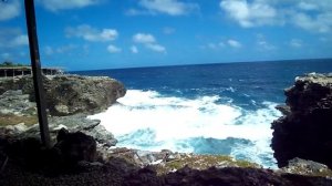 Барбадос часть 6 - Виды Барбадоса