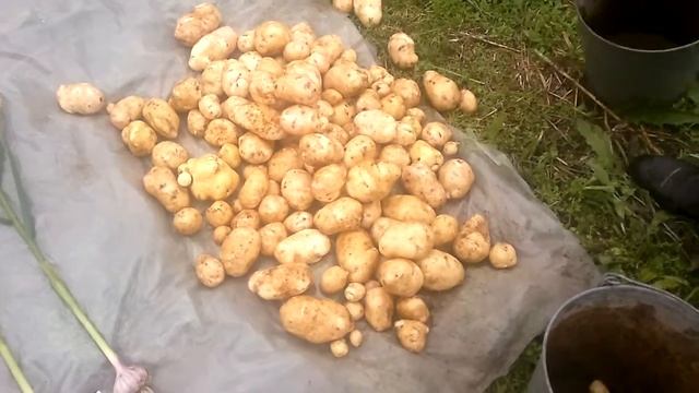 Для Андрея Степанова с Урала смотреть онлайн