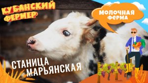 Кубанский фермер – молочная ферма