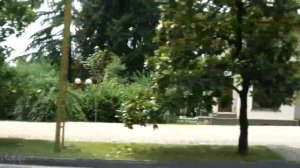 По улицам Сочи на авто