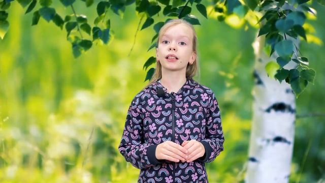 Что такое экология?