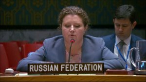 Right of reply by DPR Anna Evstigneeva at a UNSC briefing on the situation in Kosovo