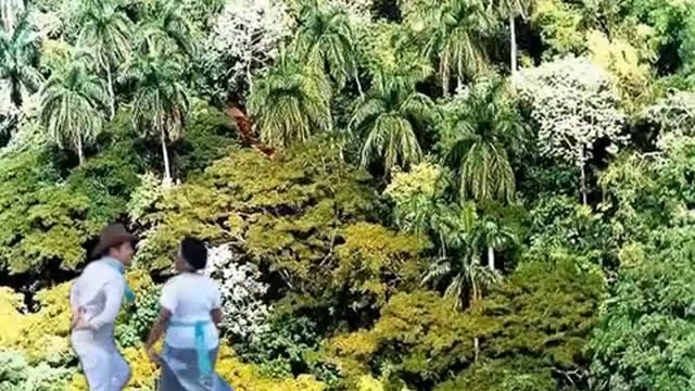 Танец команды Республики Куба, Московский политехнический университет смотреть онлайн