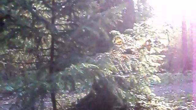 Поездка за город (не судите строго мои съемки, НЕБОЛЬШИЕ:))) комментарии и осенние субтитры:))) смотреть онлайн