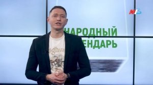 Синичкин день: что нужно делать 12 ноября, чтобы исцелиться и жить без бед