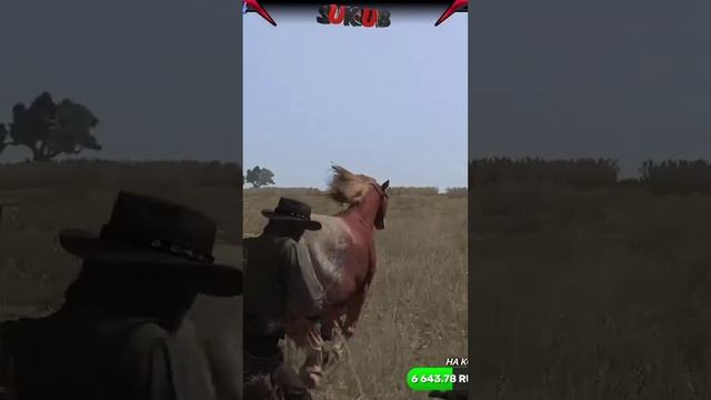 😂 Угар 🐎 Лошадь Взбесилась 😂 Я в Шоке 😲