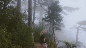 5417891-uhd_3840_2160_25fps