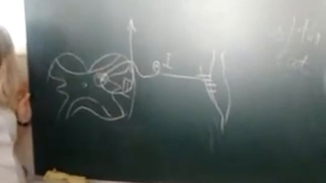 проприоцептивная чувствительность,экстероцептивная чувствительность
